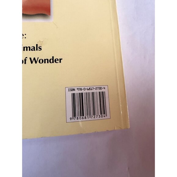 Color & Art Scenes Of Wonder Coloring Book - Picture 7 of 9